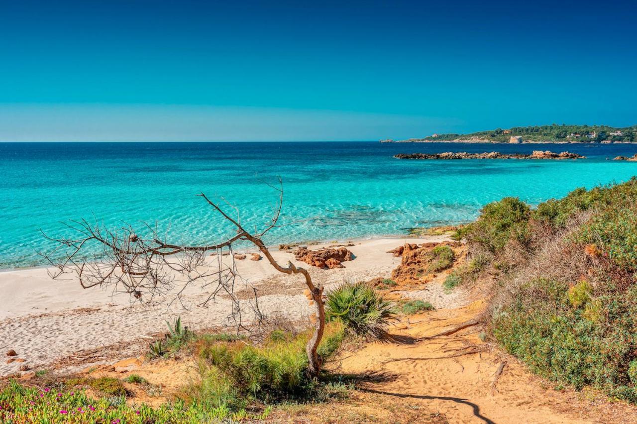 Ville In Resort Con Piscina A 2 Km Da Alghero Dış mekan fotoğraf